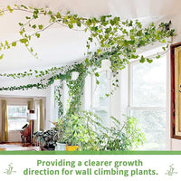 20Pcs Wall Fixture Clips for Plant Climbing