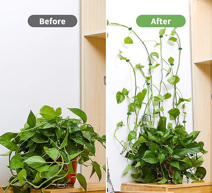 20Pcs Wall Fixture Clips for Plant Climbing